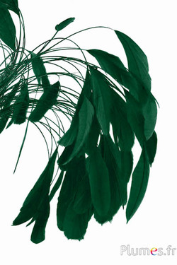 Coquetips - 13-18 cm - verde abete